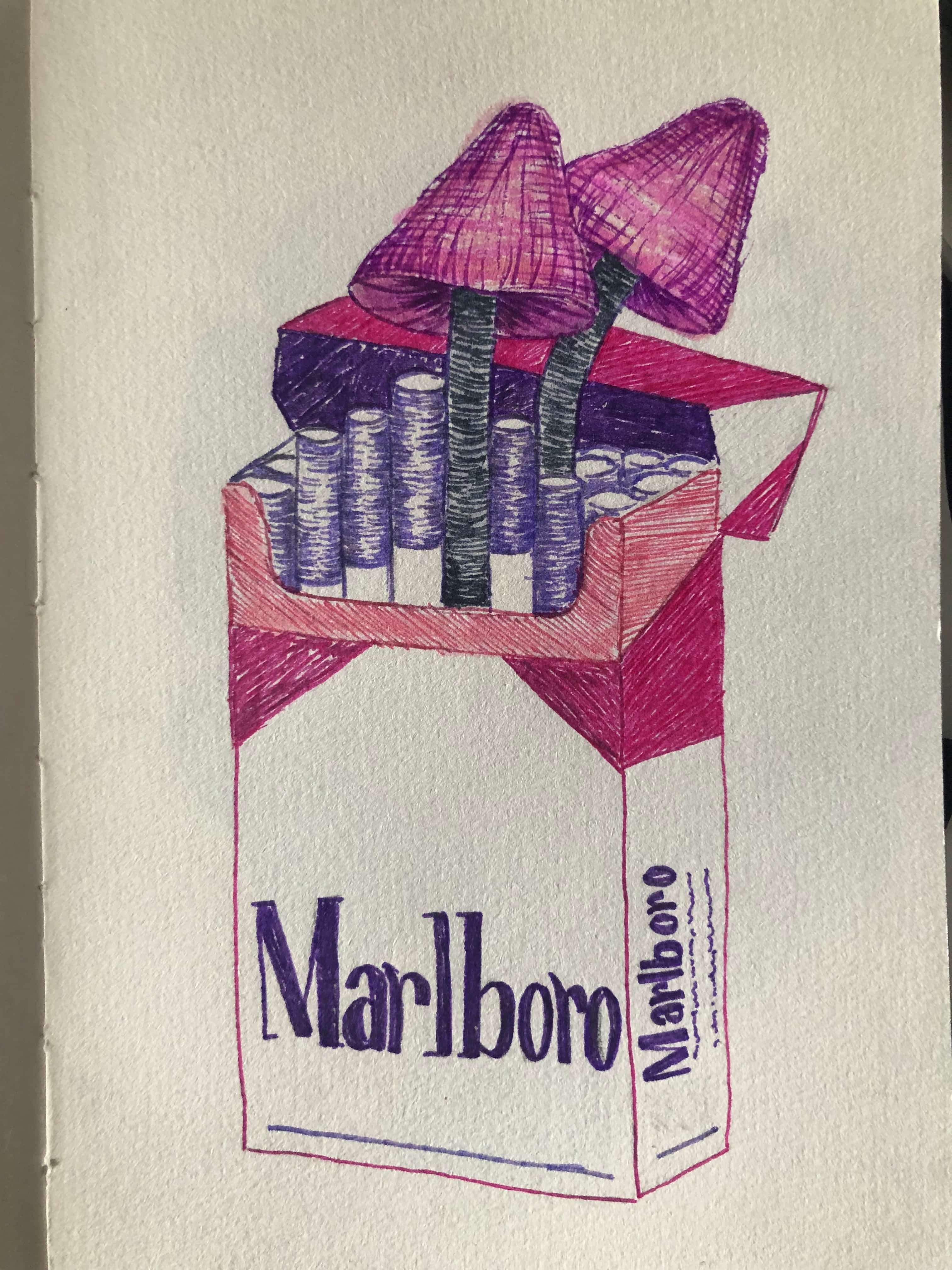 mushroom marlboro drawing